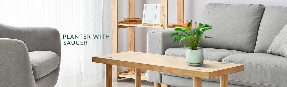 Buy Planters with Saucers Online – PLANTATOREM