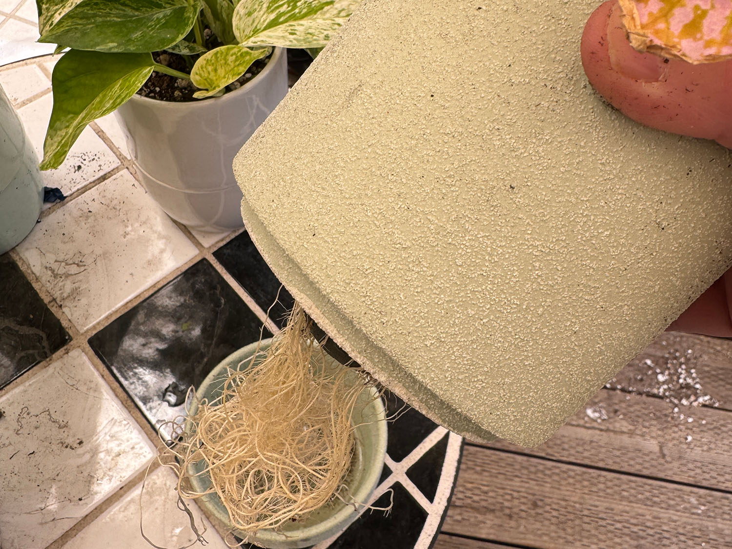 Urban Dweller Self-Watering Pot- Sand | Indoor Planters – PLANTATOREM