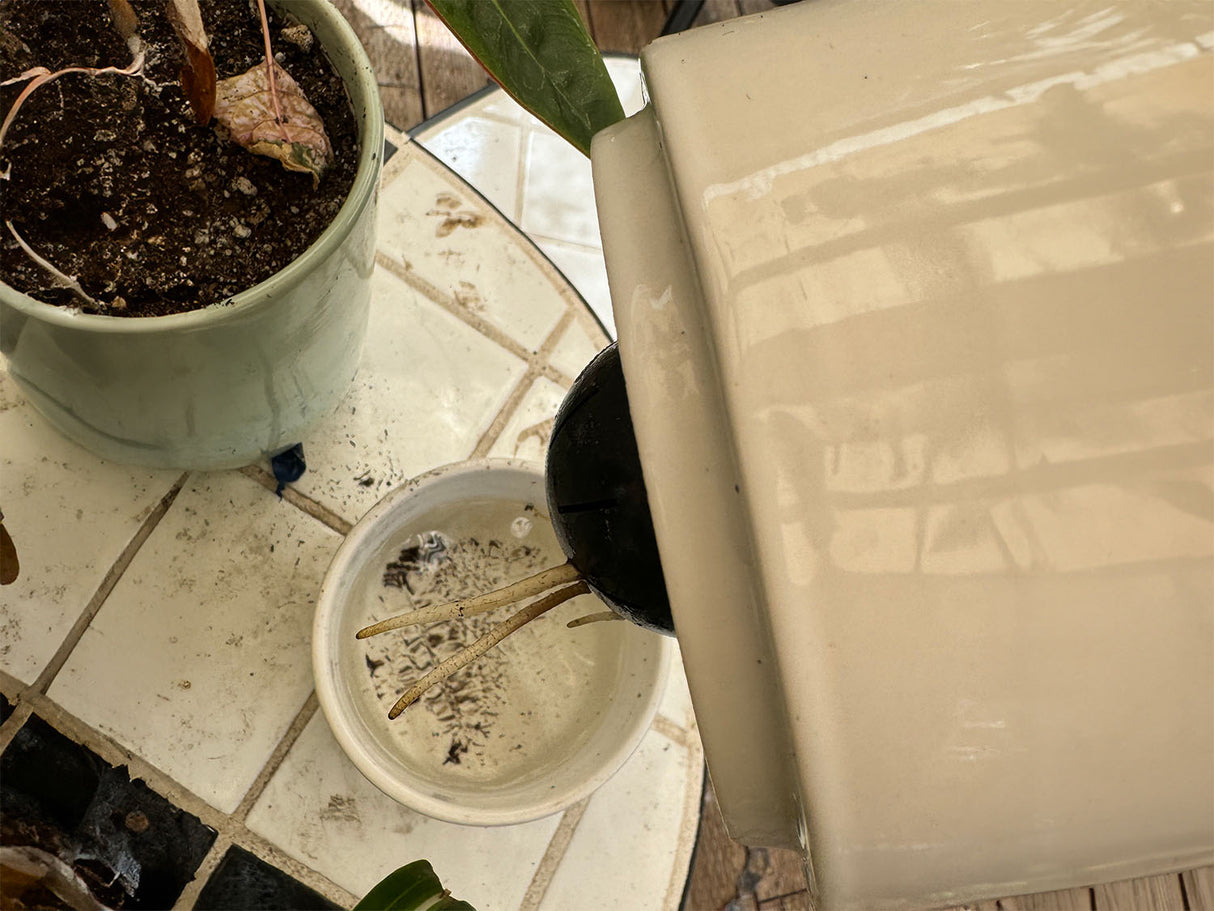 Urban Dweller Self-Watering Pot- Sand By Plantatorem