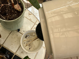 Urban Dweller Self-Watering Pot- Sand By Plantatorem