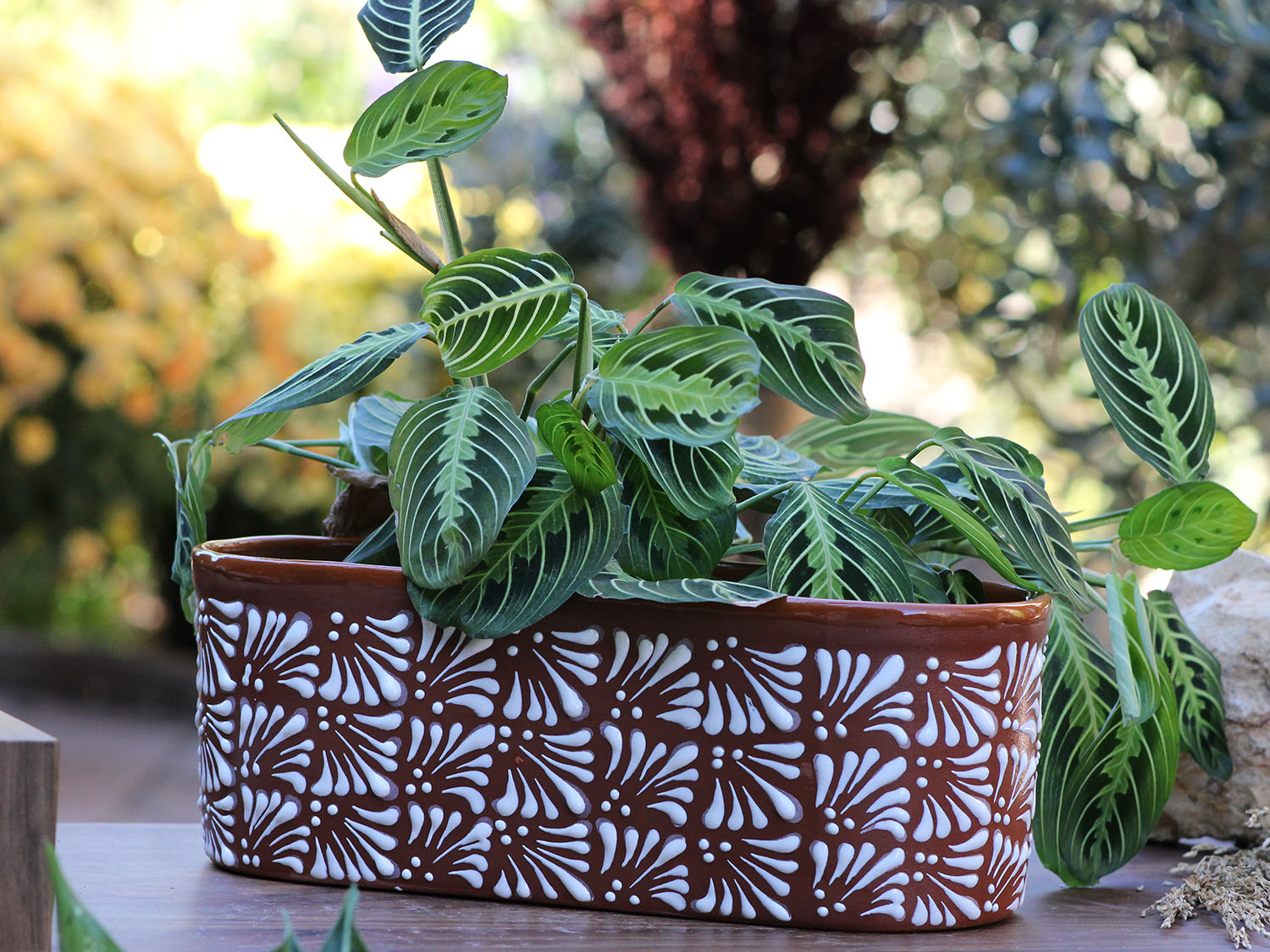 hand painted indoor plant pots Canoe Planter