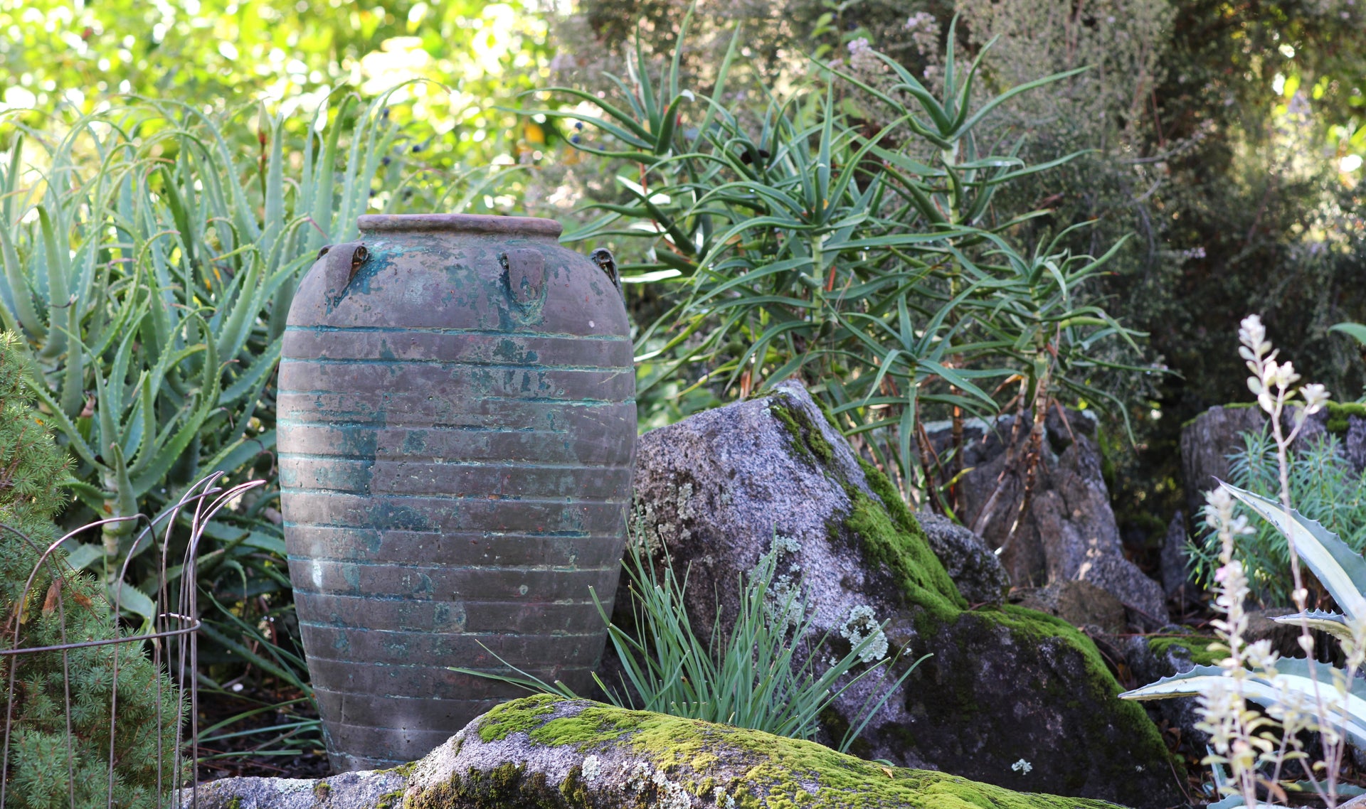 amphora plant pot Buy Ancient Amphora Large Planter