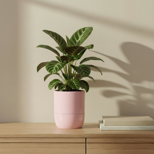 Urban Dweller Self-Watering Pot- Pastel By Plantatorem