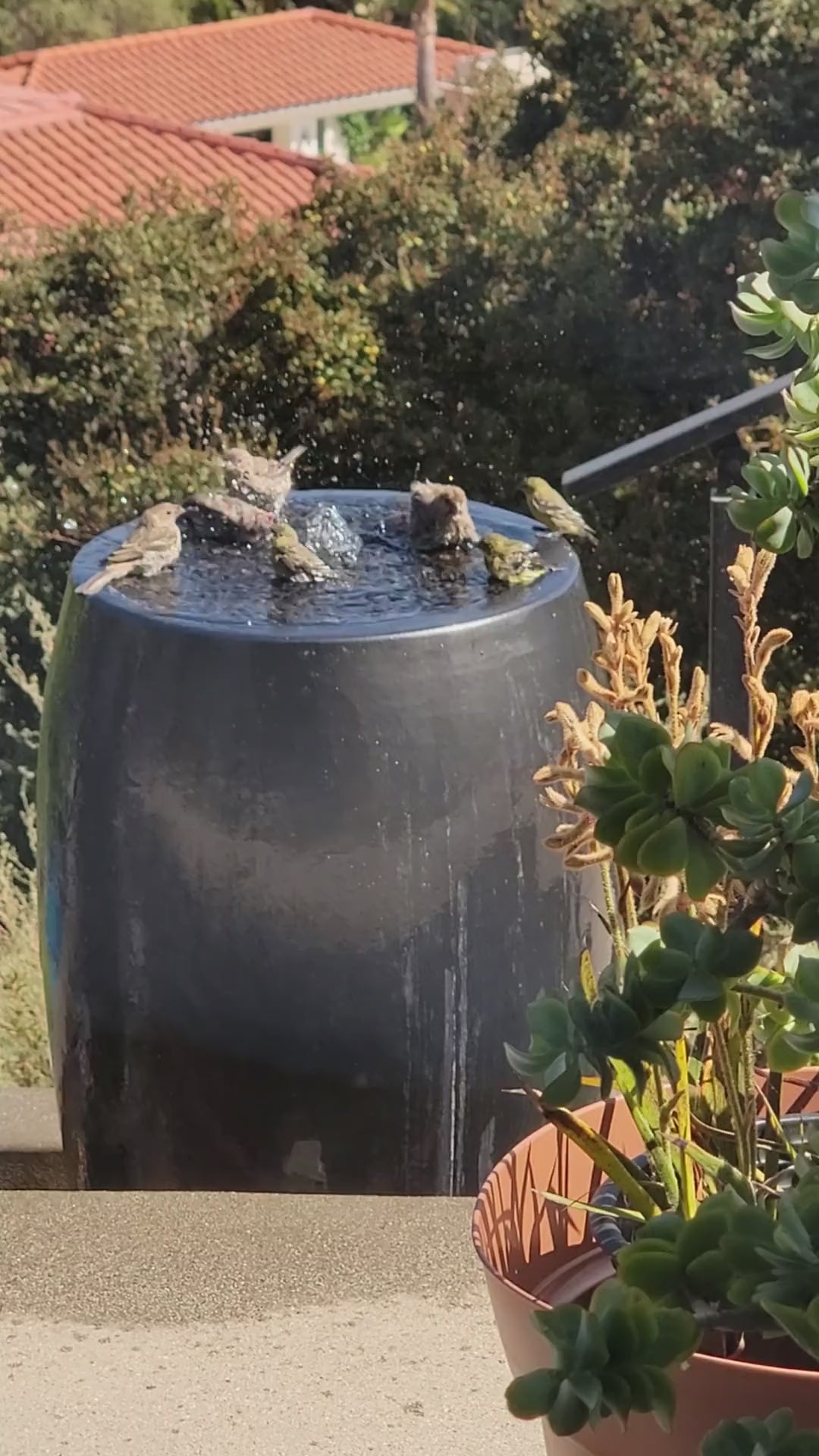 Drum Shape Fountain