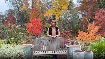 Plantorem’s Garden Retreat