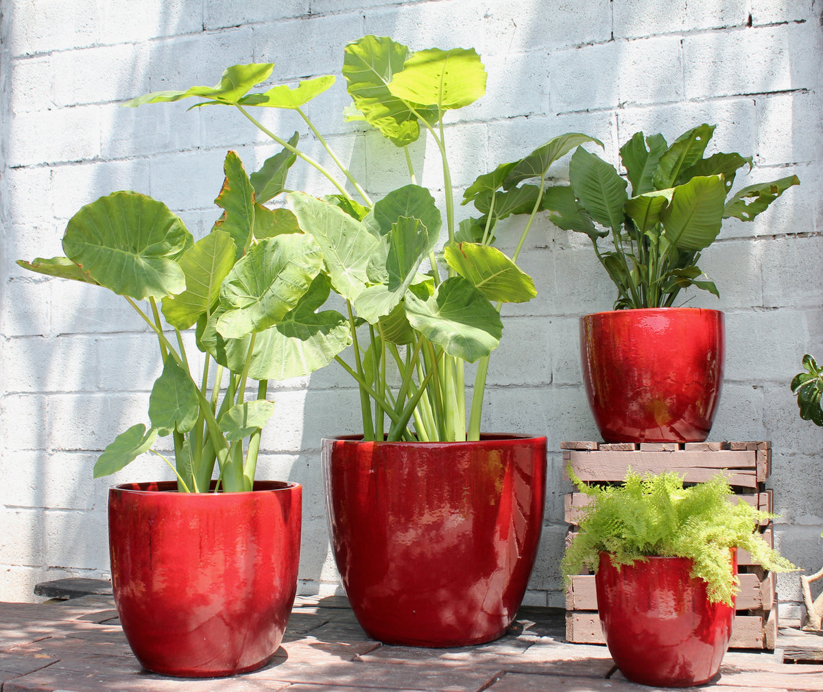 Large Coco Pot Coco Pots - Set of 4 – PLANTATOREM