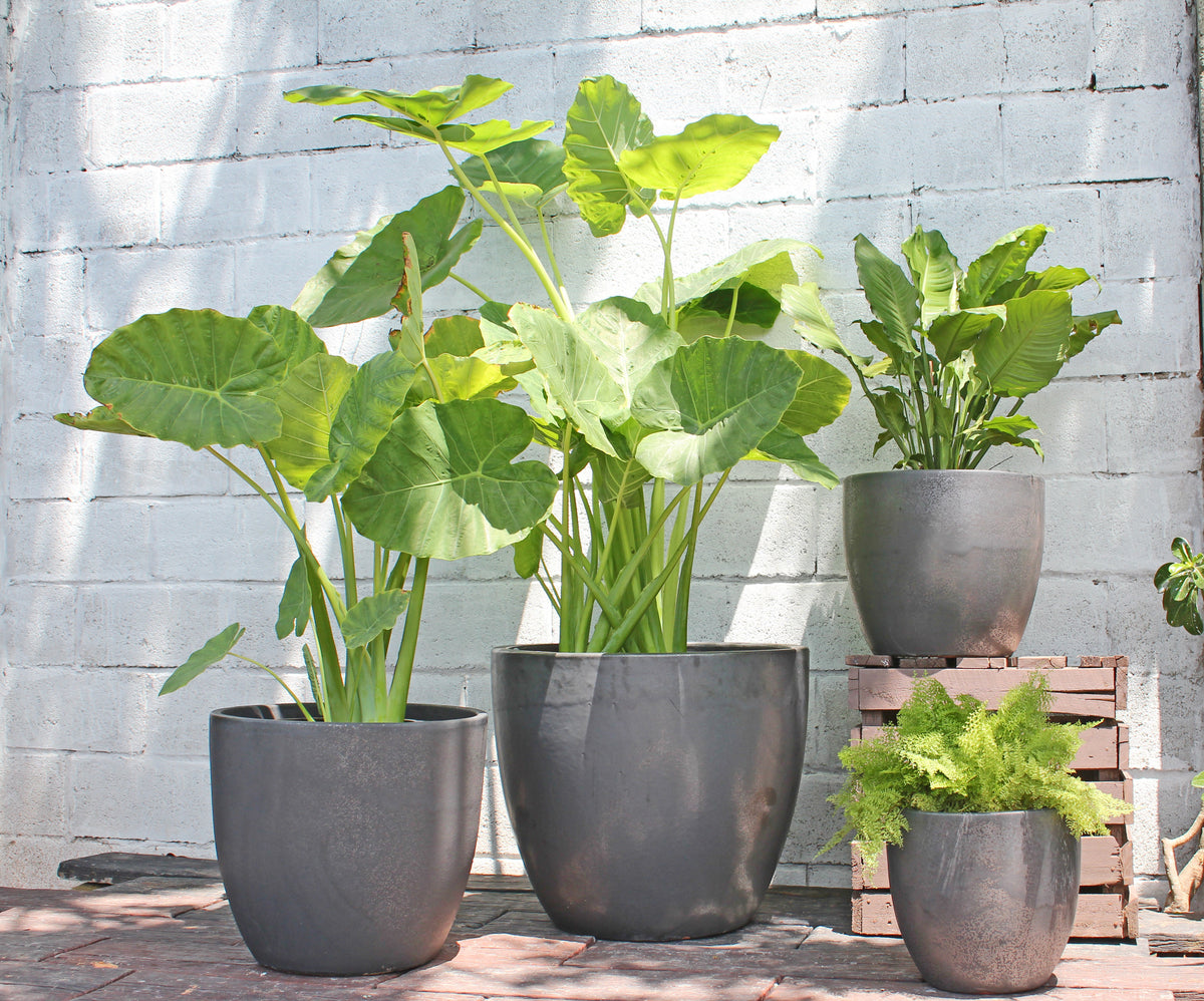 Large Coco Pot Coco Pots - Set of 4 – PLANTATOREM