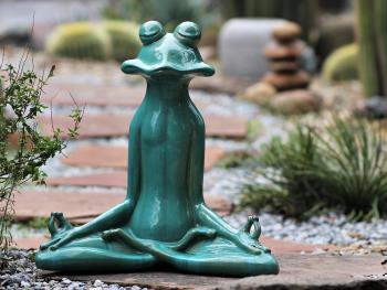 Meditation Frog